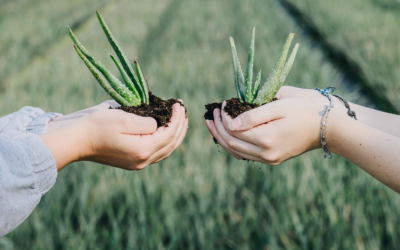 Plant a friend gestart in Midden-Delfland